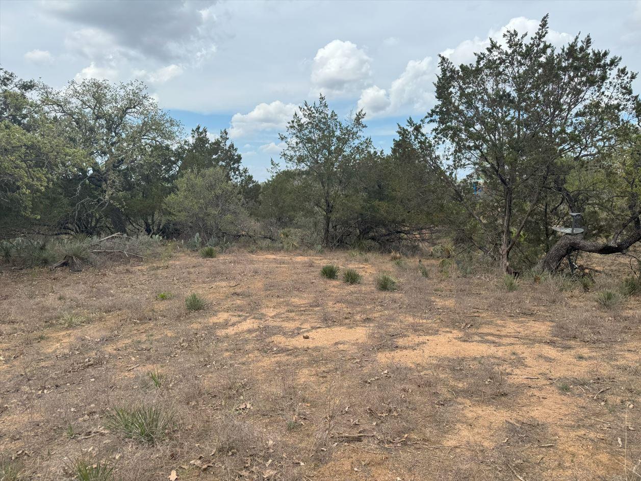 Lot 260 W Briarway Drive Granite Shoals TX 78654