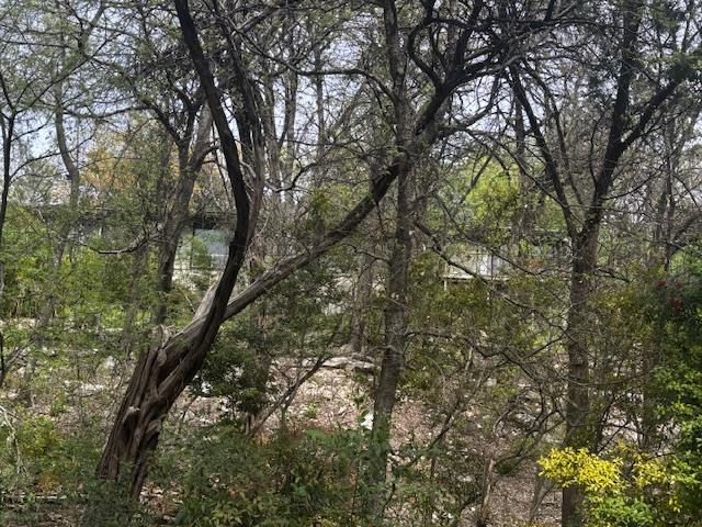 1204 Yaupon Valley Road West Lake Hills TX 78746