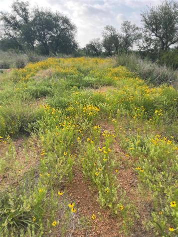 Lot 48 Inksview Lane Kingsland TX 78639