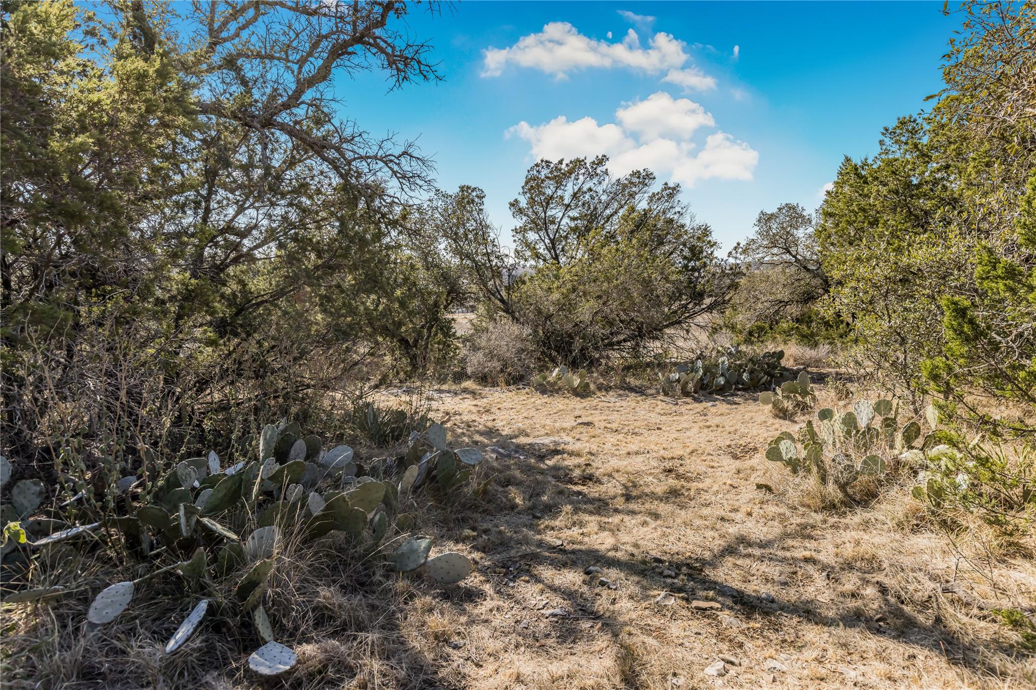 Lot 48 Inksview Lane Kingsland TX 78639