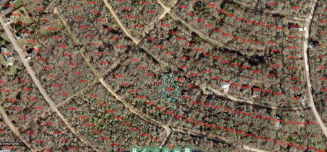 237 Mokulua Lane Bastrop TX 78602