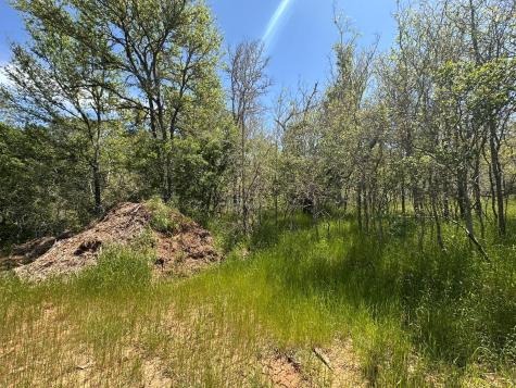 237 Mokulua Lane Bastrop TX 78602