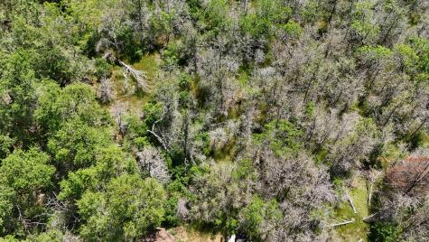 237 Mokulua Lane Bastrop TX 78602