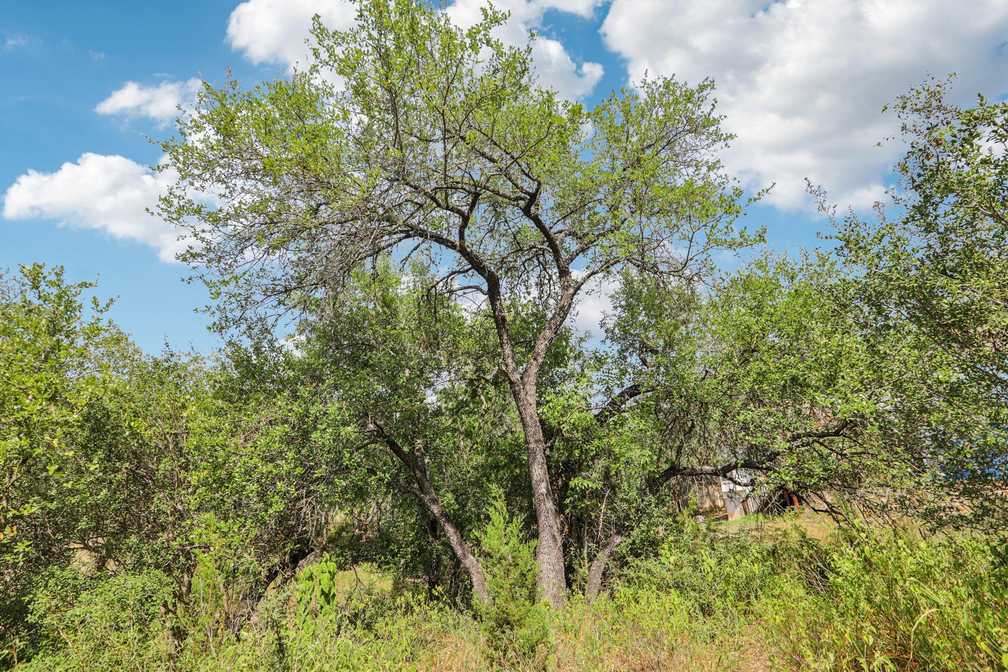12610 River Bend Austin TX 78732