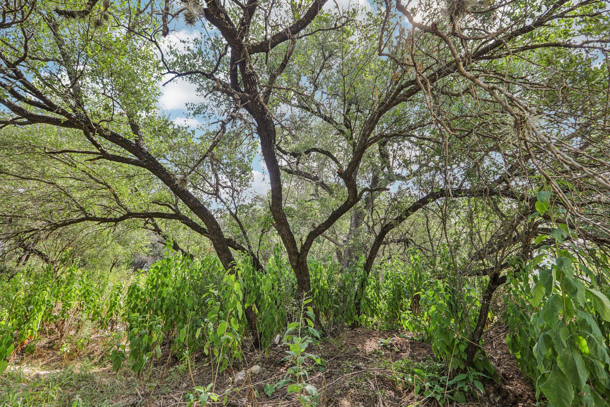 12610 River Bend Austin TX 78732