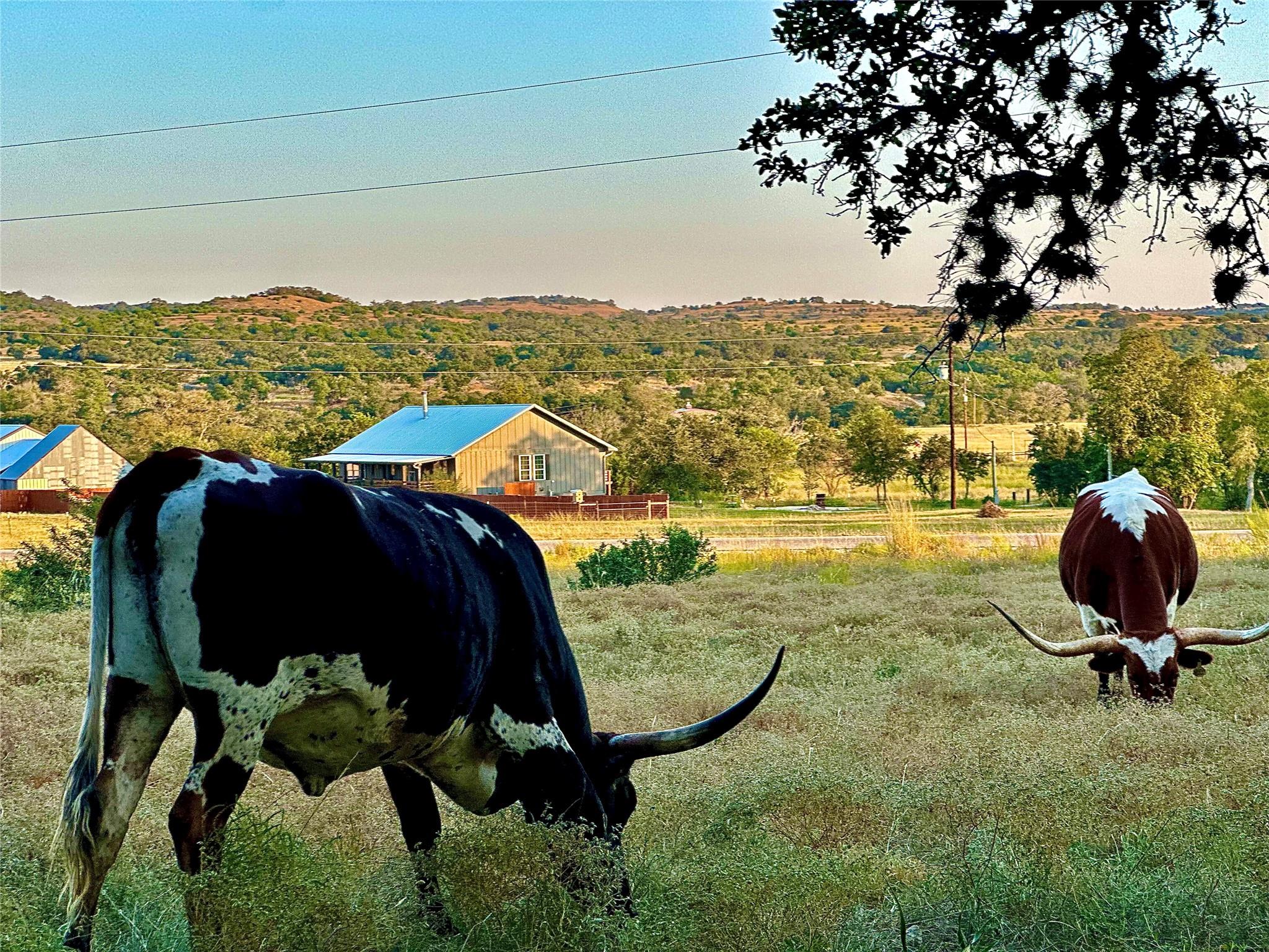 1200 Lipan Apache Run Blanco TX 78606