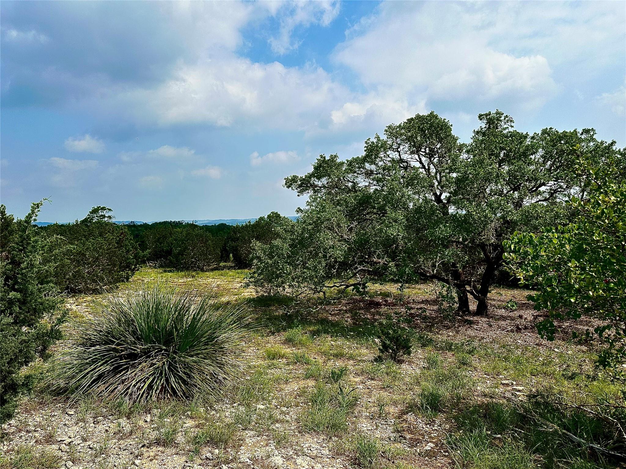 1200 Lipan Apache Run Blanco TX 78606