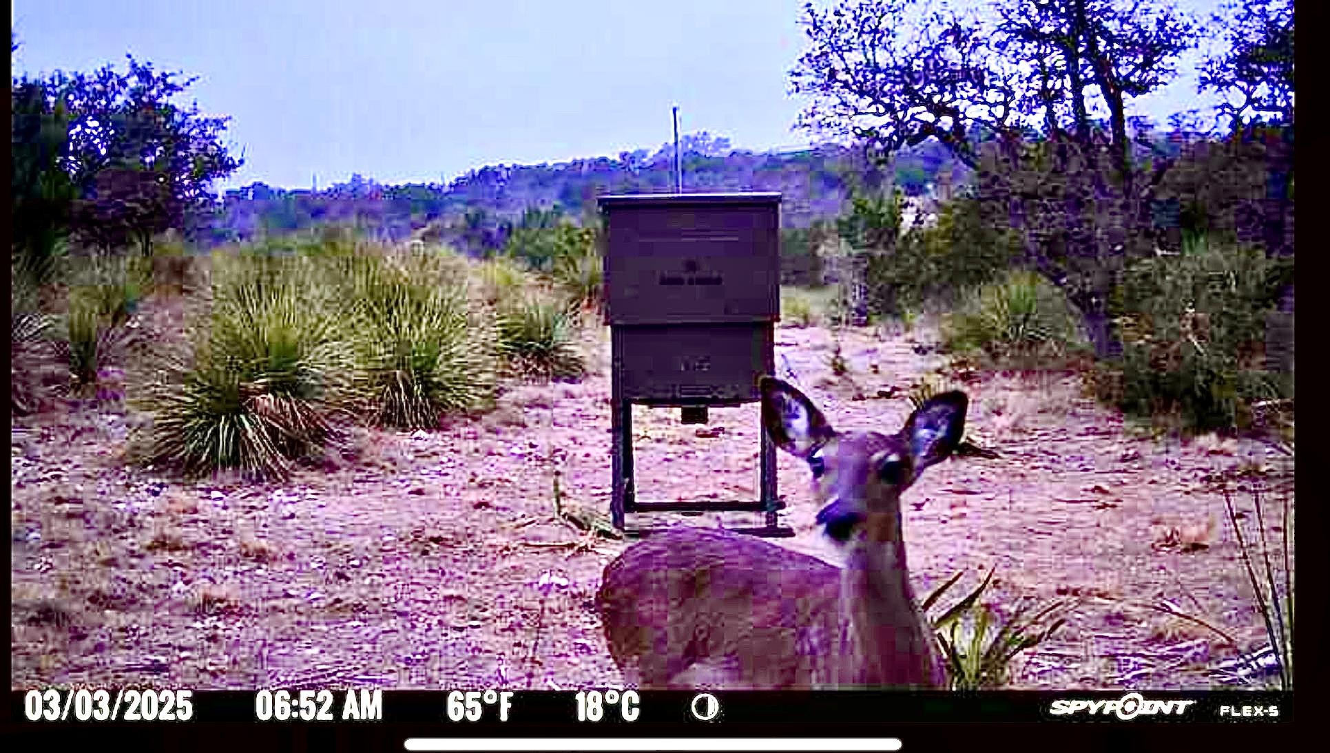1200 Lipan Apache Run Blanco TX 78606