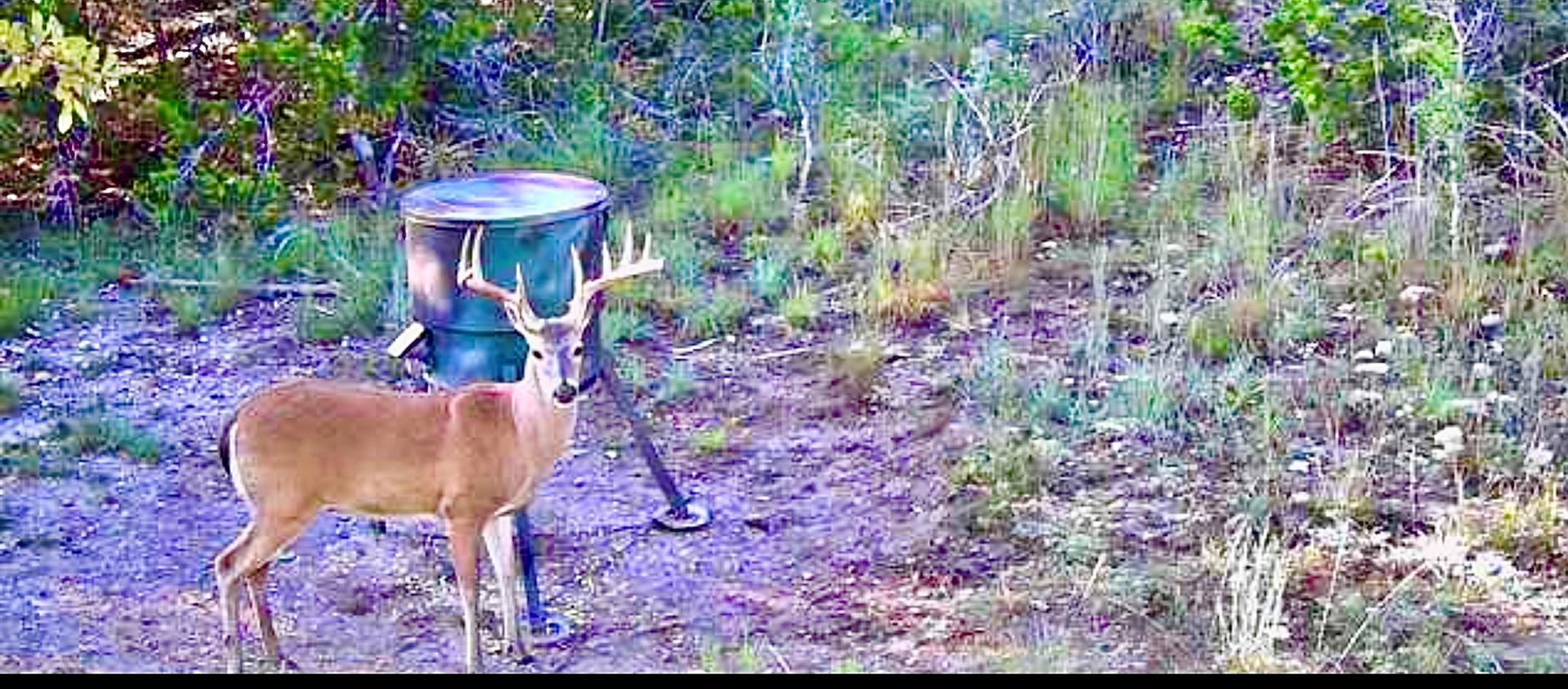 1200 Lipan Apache Run Blanco TX 78606