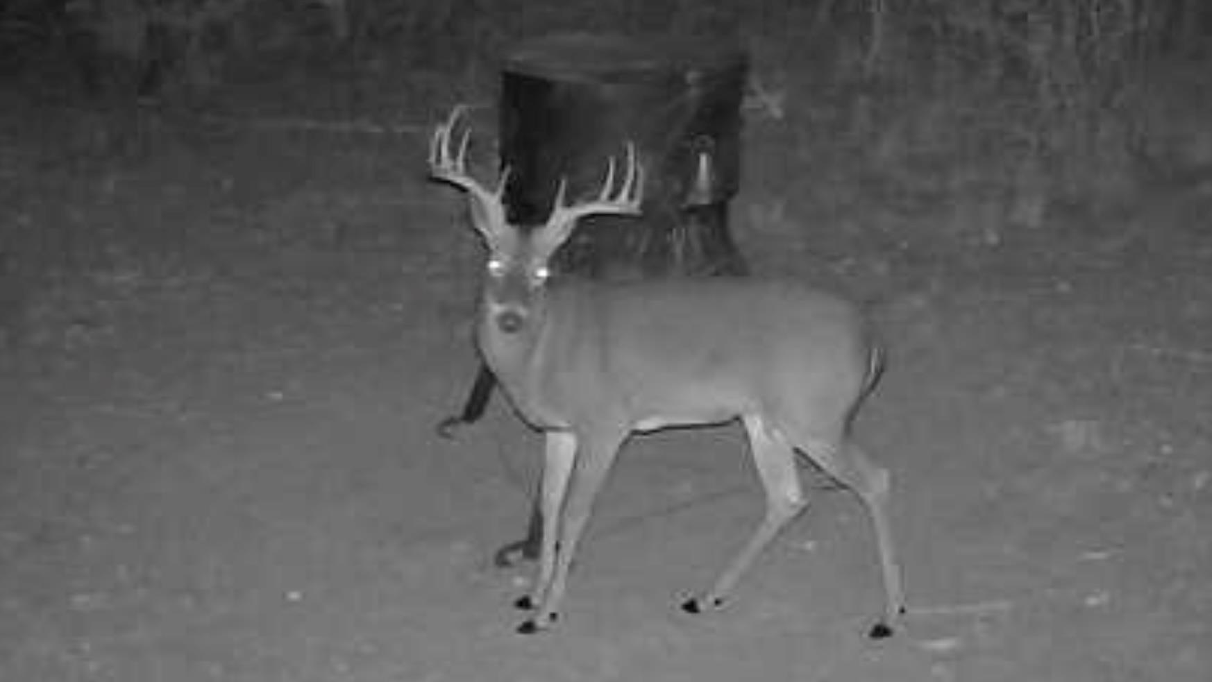 1200 Lipan Apache Run Blanco TX 78606