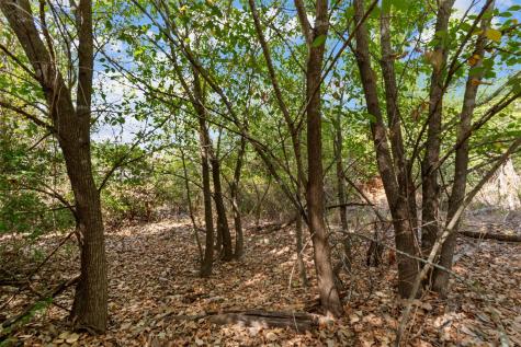 Tbd Tonkawa Drive Paige TX 78659