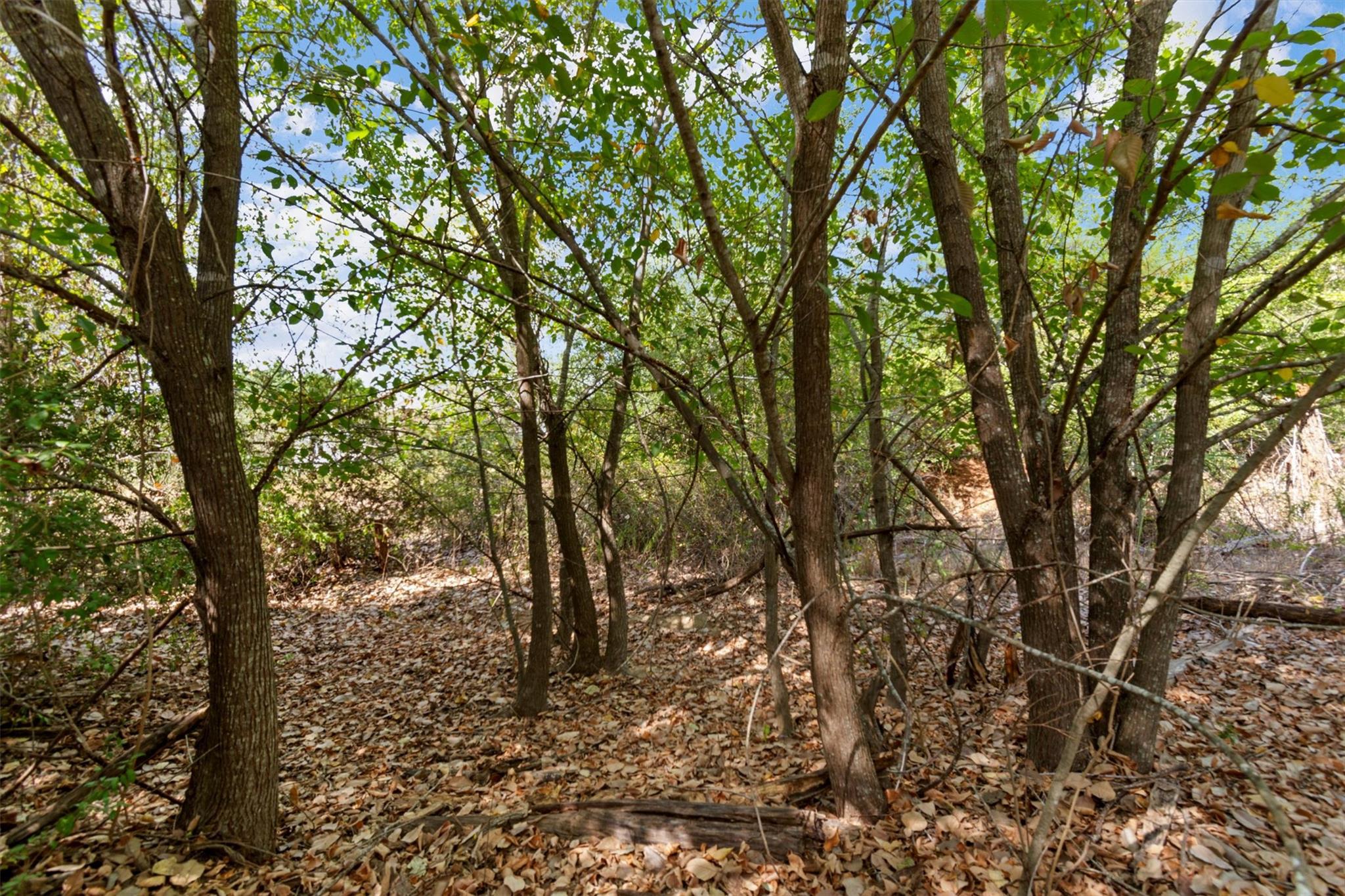 Tbd Tonkawa Drive Paige TX 78659