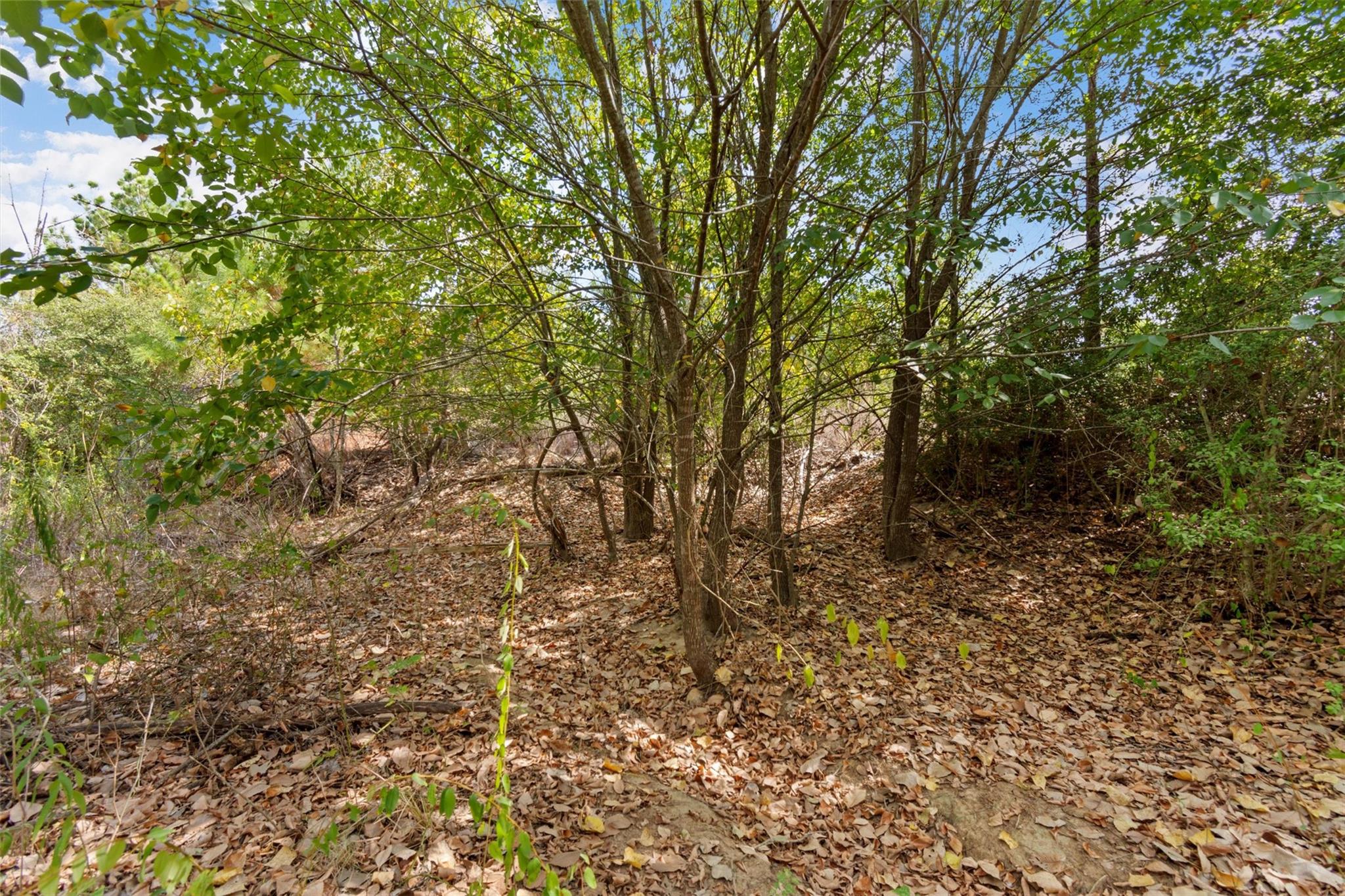 Tbd Tonkawa Drive Paige TX 78659