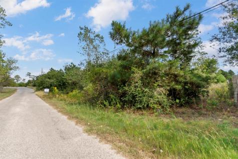 Tbd Tonkawa Drive Paige TX 78659