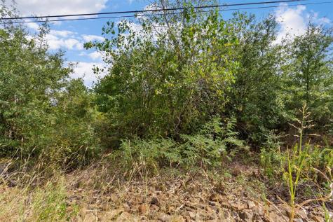 Tbd Tonkawa Drive Paige TX 78659