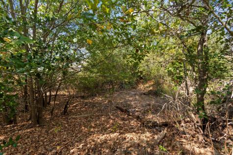 Tbd Tonkawa Drive Paige TX 78659