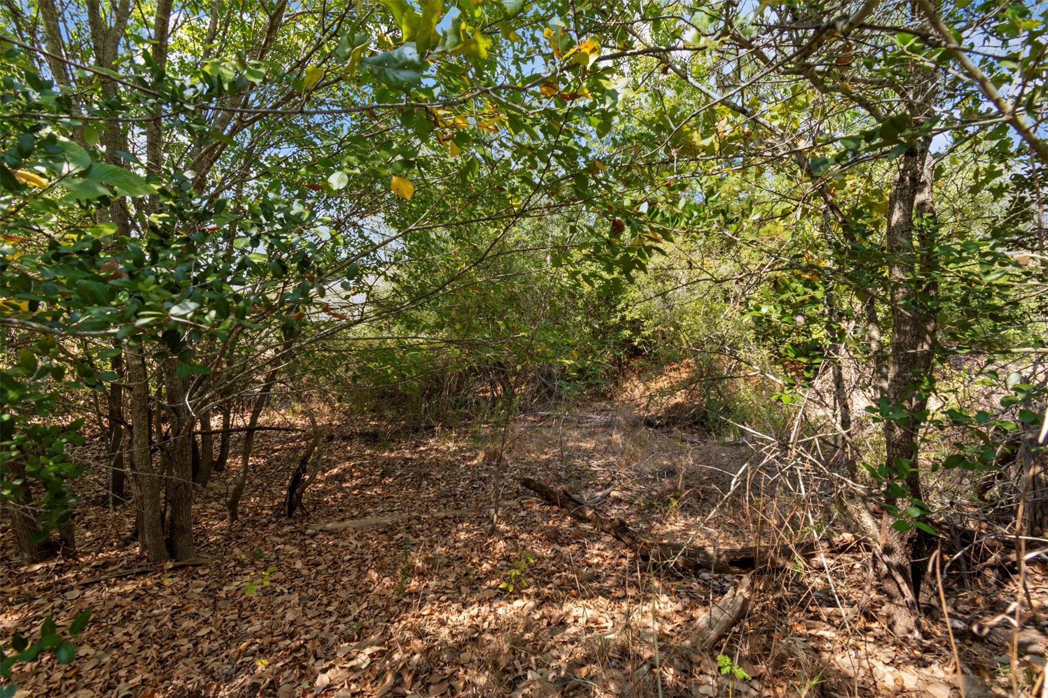 Tbd Tonkawa Drive Paige TX 78659