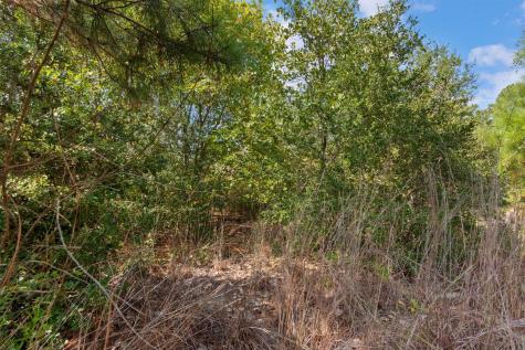 Tbd Tonkawa Drive Paige TX 78659