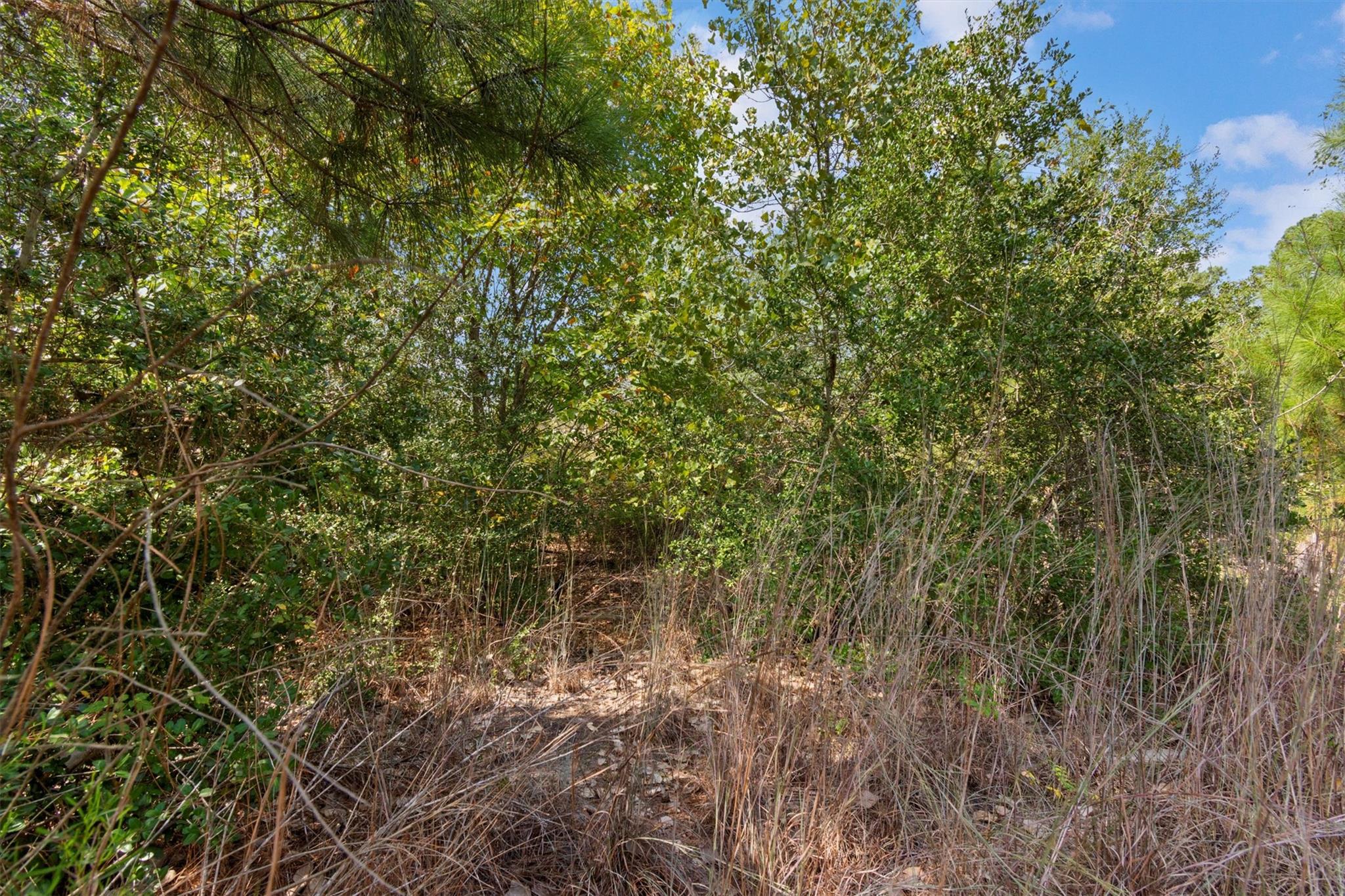 Tbd Tonkawa Drive Paige TX 78659