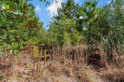 Tbd Tonkawa Drive Paige TX 78659