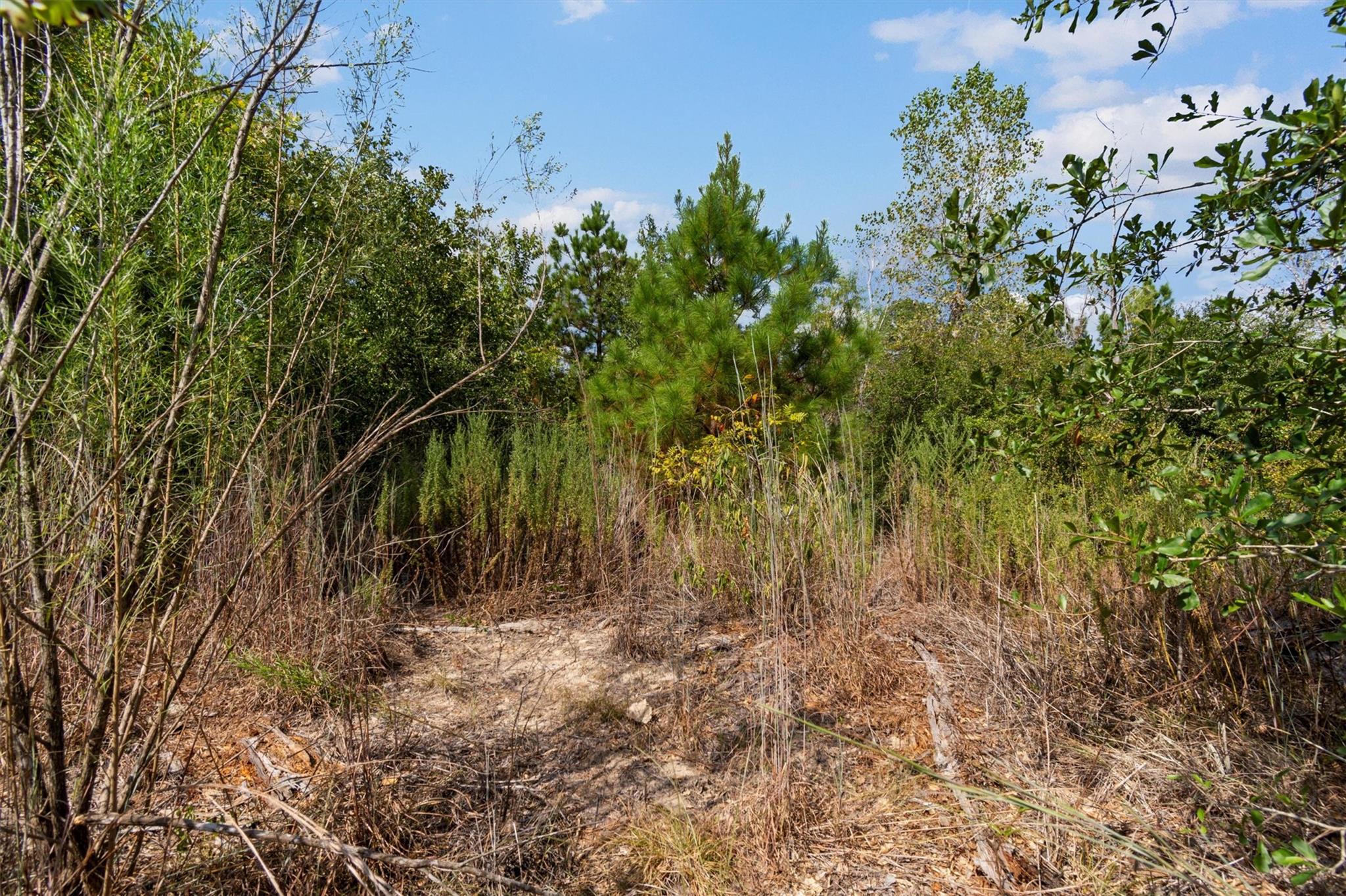 Tbd Tonkawa Drive Paige TX 78659