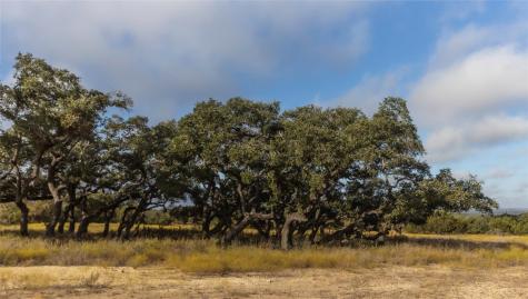 Lot 1 Legacy Hills Drive Johnson City TX 78636