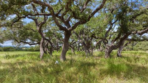 Lot 1 Legacy Hills Drive Johnson City TX 78636