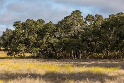 Lot 1 Legacy Hills Drive Johnson City TX 78636