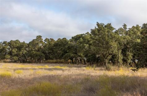 Lot 1 Legacy Hills Drive Johnson City TX 78636