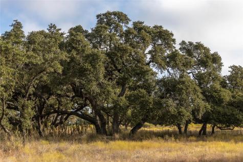 Lot 1 Legacy Hills Drive Johnson City TX 78636
