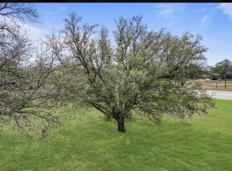 1900 Chukar Street Floresville TX 78114