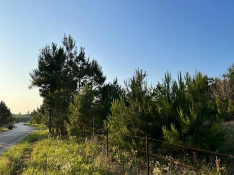 Lot 27 Kinsey Road Paige TX 78659