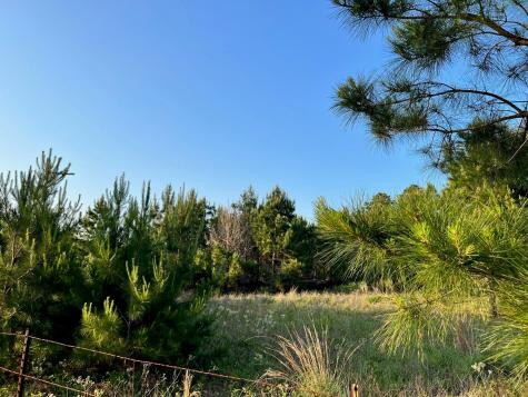 Lot 27 Kinsey Road Paige TX 78659