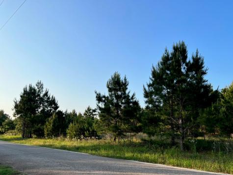 Lot 27 Kinsey Road Paige TX 78659