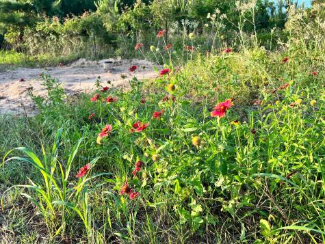 Lot 27 Kinsey Road Paige TX 78659