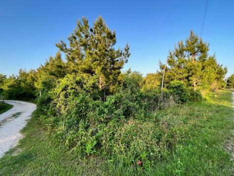 Lot 27 Kinsey Road Paige TX 78659