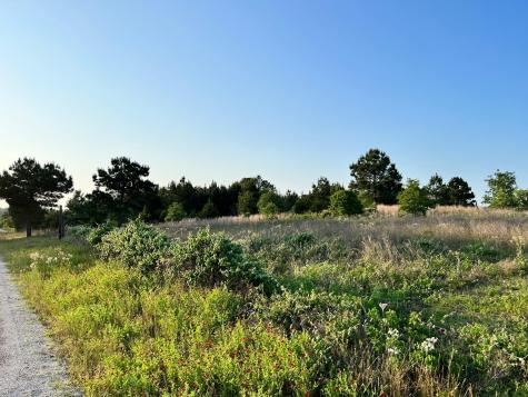 Lot 27 Kinsey Road Paige TX 78659