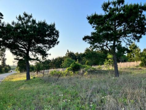 Lot 27 Kinsey Road Paige TX 78659