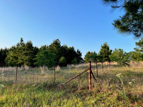 Lot 27 Kinsey Road Paige TX 78659