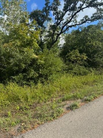 Lot 1339 Tahitian Drive Bastrop TX 78602