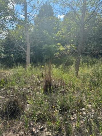 Lot 1339 Tahitian Drive Bastrop TX 78602