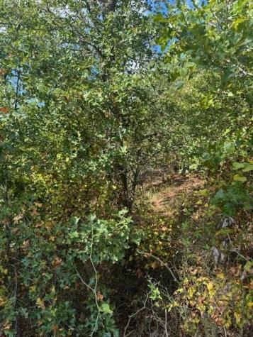 Lot 1339 Tahitian Drive Bastrop TX 78602