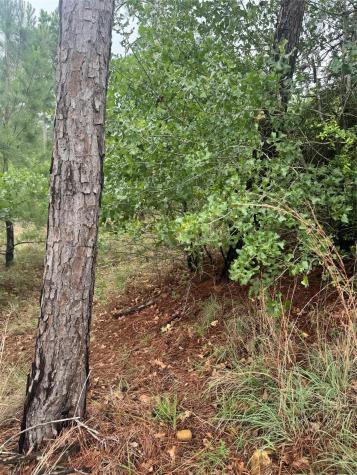 Lots 1612, 1613, 1614 Kaanapali Lane Bastrop TX 78602