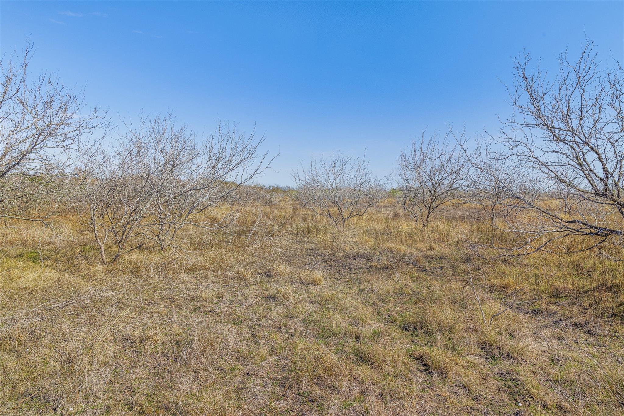 5225 Fm 2001 Buda TX 78610