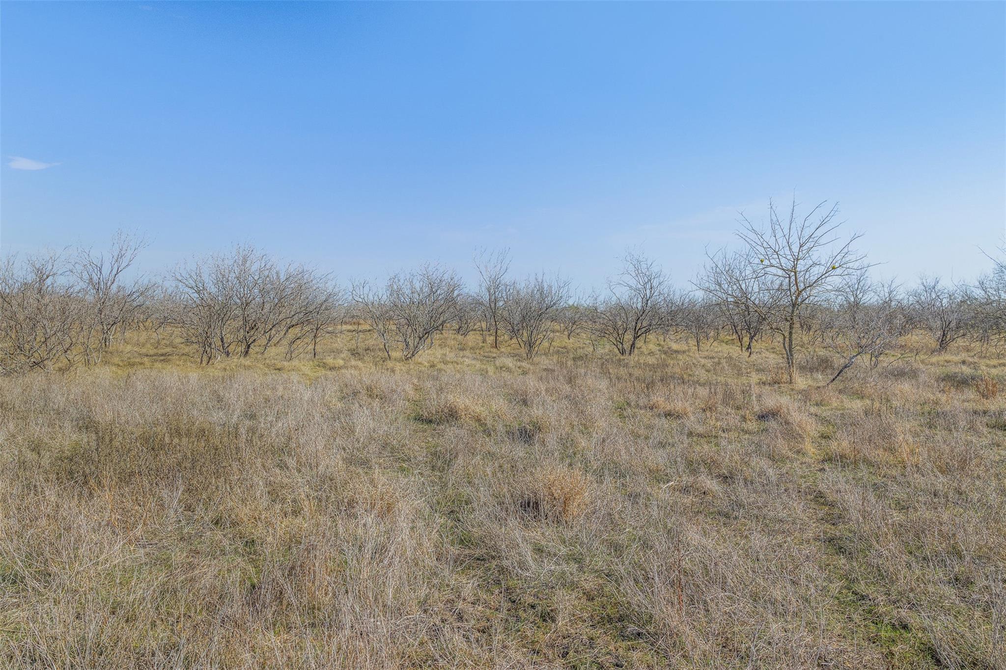 5225 Fm 2001 Buda TX 78610