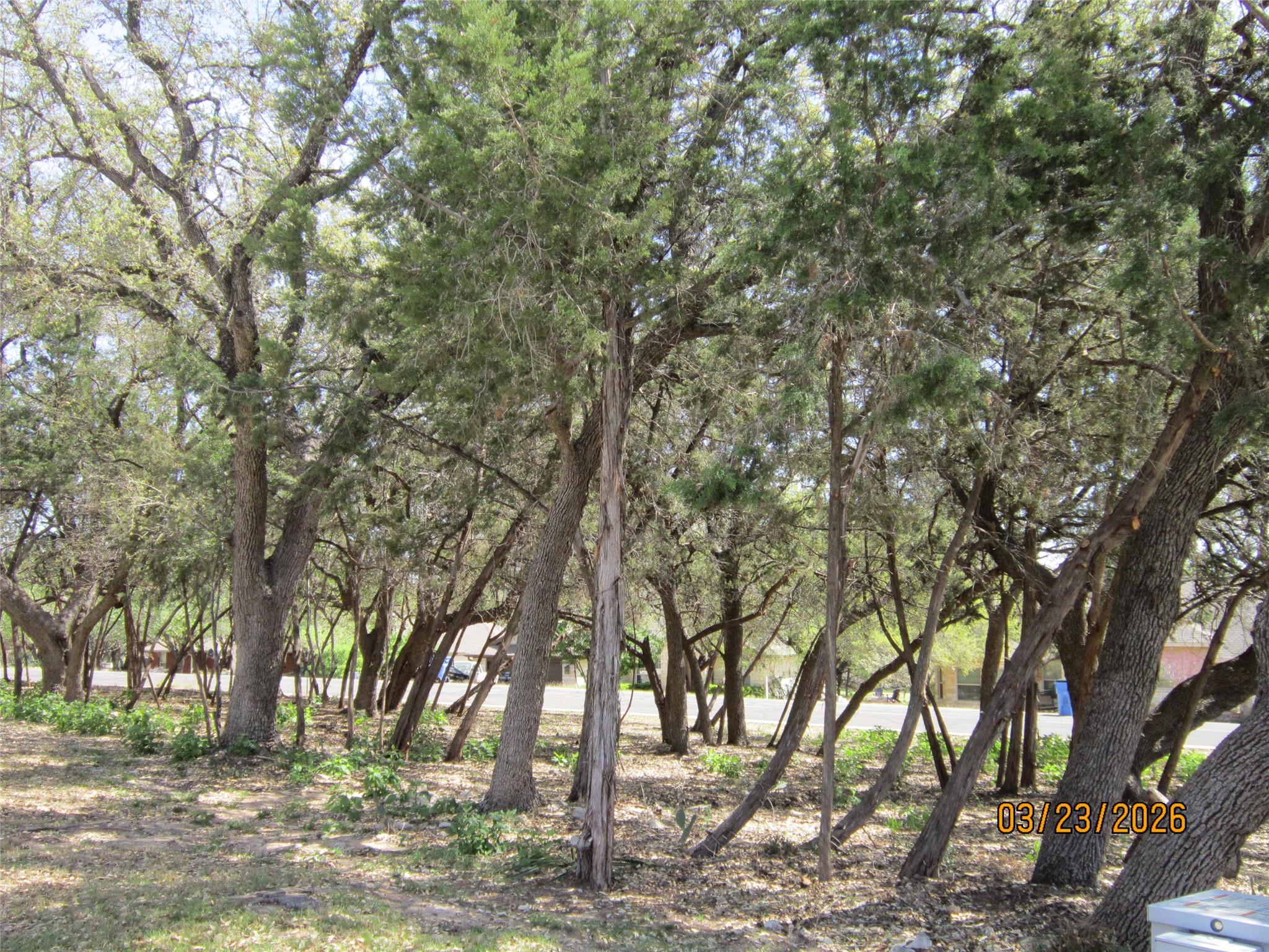 18804 Venture Drive Point Venture TX 78645