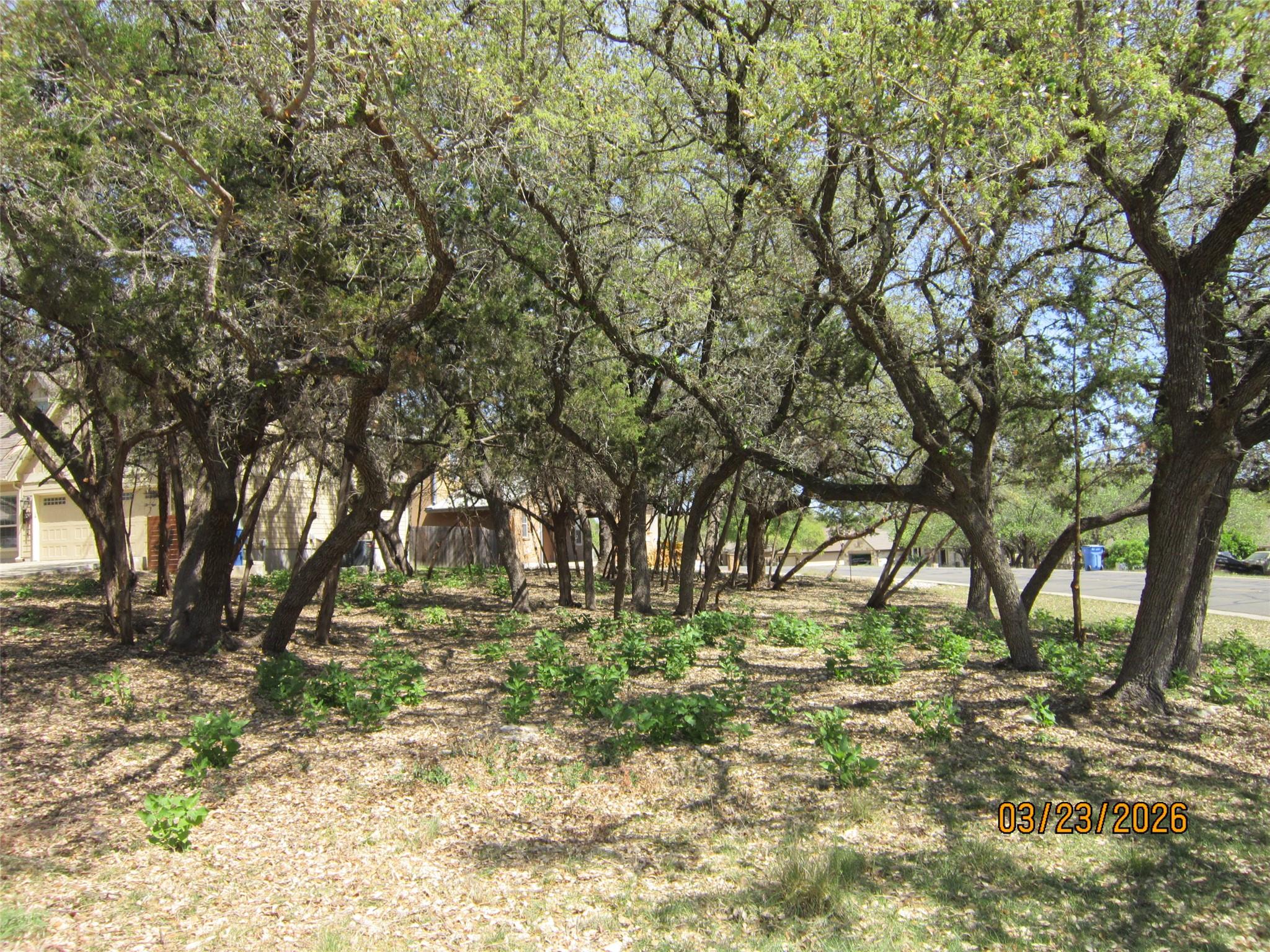 18804 Venture Drive Point Venture TX 78645