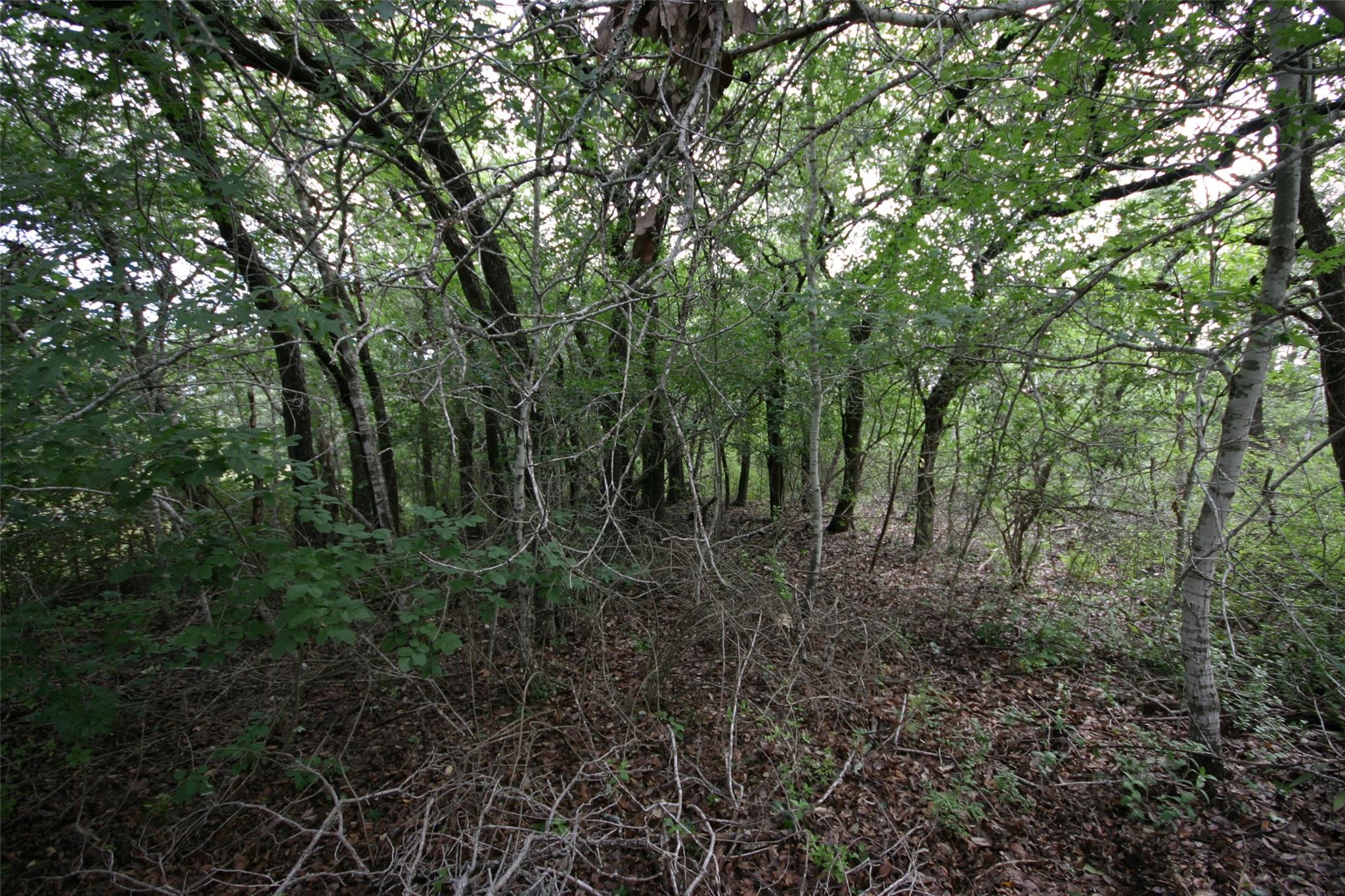 1900 County Road 156 Georgetown TX 78628