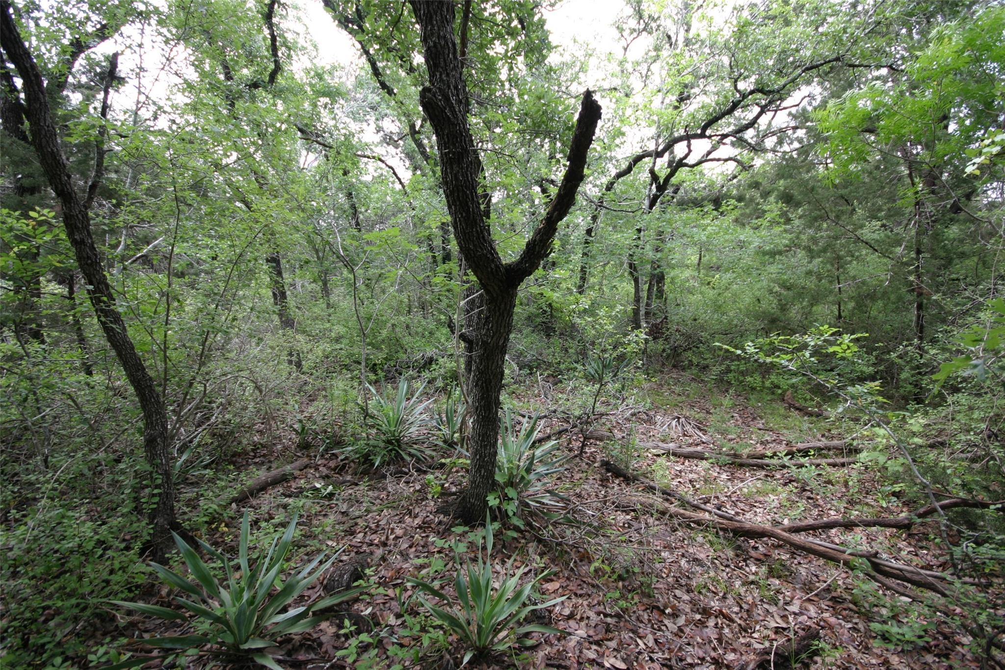 1900 County Road 156 Georgetown TX 78628