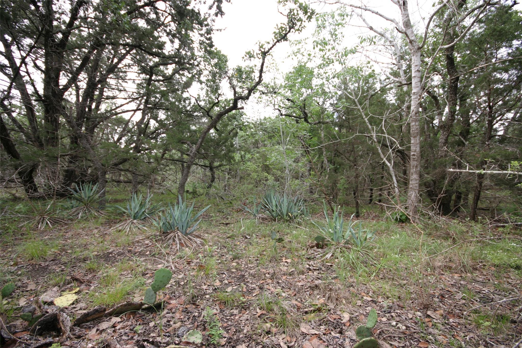 1900 County Road 156 Georgetown TX 78628